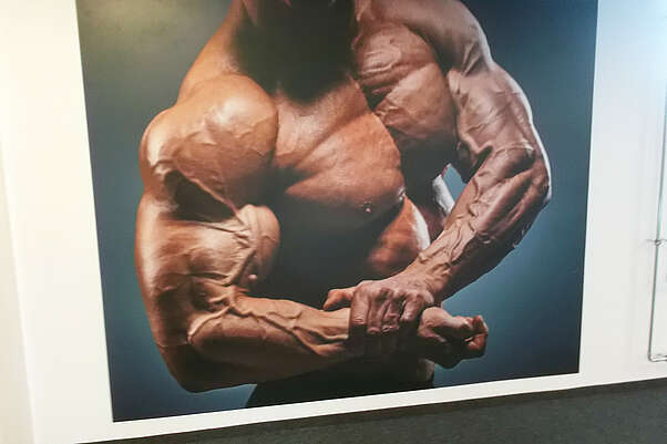 Fototapete, Wandtattoo für Fitnessstudio, Fitnessclub in Waiblingen bei Stuttgart